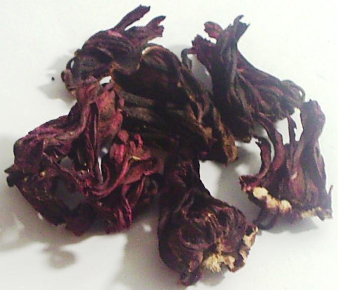 Karkadé (Hibiscus)