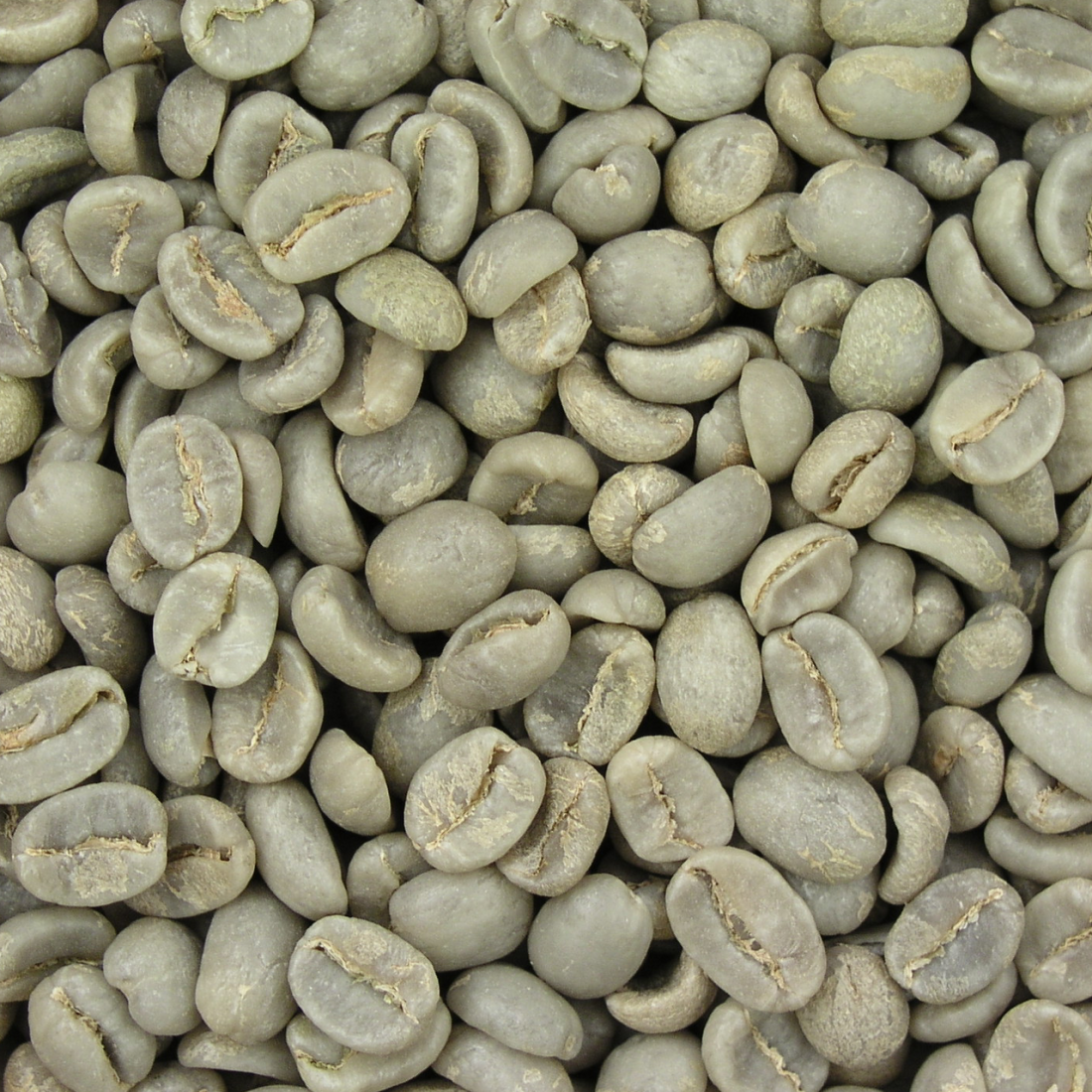 Café Vert